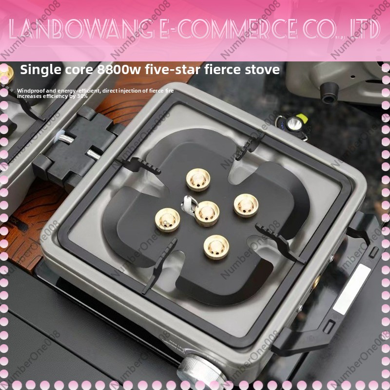 Outdoor Dual Burner High Power - Camping Cooking Meat recension och pris